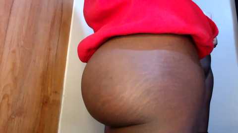 fatpussy_ebony free recording from 2025-05-08 13:57:00