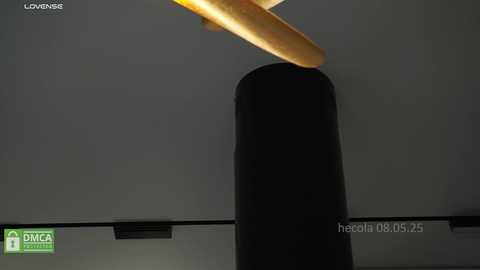 hecola free recording from 