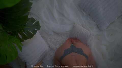 sensualcherry_ free recording from 2025-05-08 06:27:00