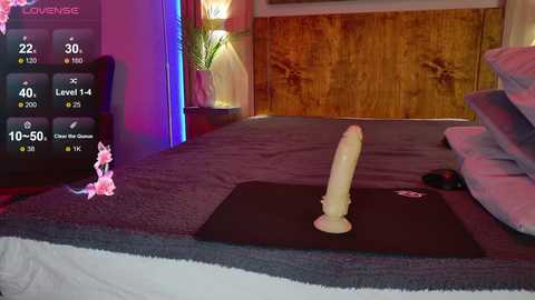 aurora_radiance free recording from 