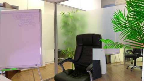 babesgowild free recording from 2025-05-09 07:47:00