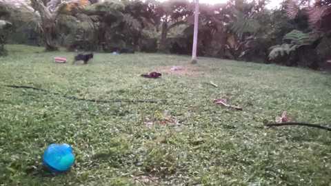 kaileeshy free recording from 2025-05-09 04:55:00