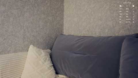 peek_in_my_window free recording from 