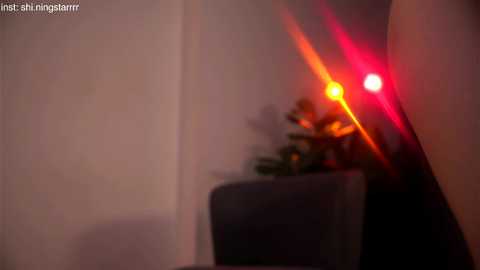 shiningstarrr free recording from 2025-05-09 23:13:00