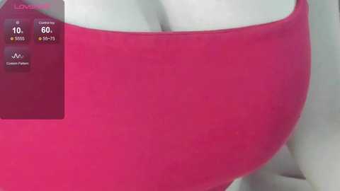 wwow_meow free recording from 