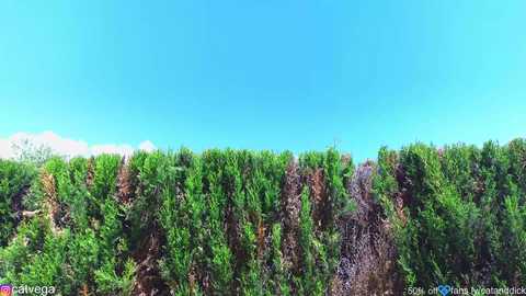 catanddickxxx free recording from 2025-05-10 12:01:00