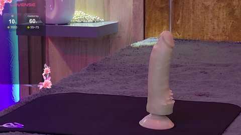 aurora_radiance free recording from 2025-05-11 19:15:00