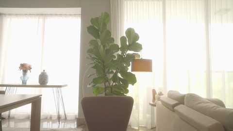 emma_lu1 free recording from 