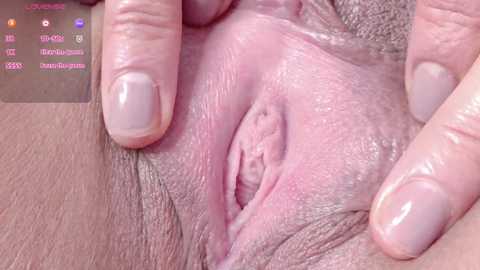 horny_moly free recording from 2025-05-13 07:49:00