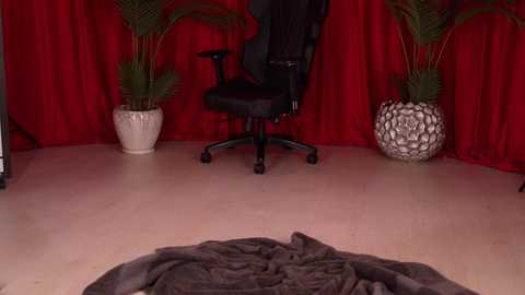 kittycaitlin free recording from 2025-05-13 03:19:00