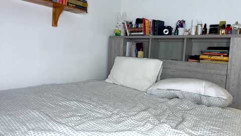 laniixx free recording from 2025-05-13 02:42:00