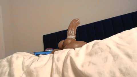 theislandgirl free recording from 