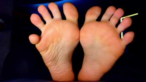 adagrand free recording from 2025-05-14 20:48:00