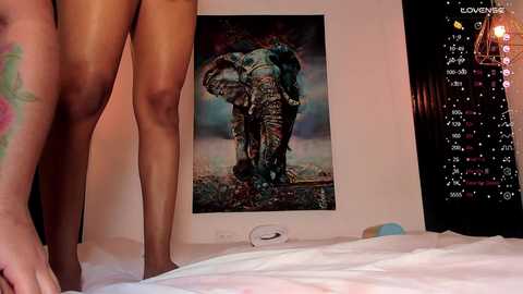 cutee_world free recording from 2025-05-14 16:04:00