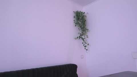 elena_li free recording from 