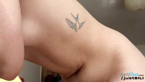 justbecauseiloveit free recording from 2025-05-14 10:54:00