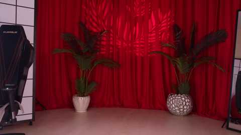 kittycaitlin free recording from 2025-05-14 02:03:00