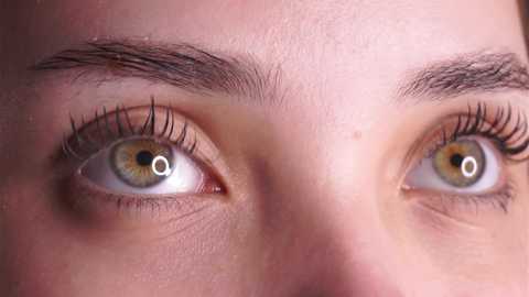 normabranch free recording from 