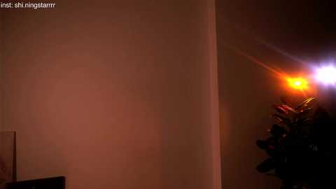 shiningstarrr free recording from 2025-05-14 17:45:00