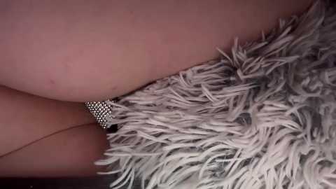 taylorweston free recording from 