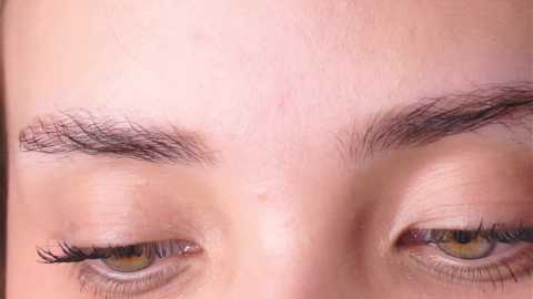 normabranch free recording from 2025-05-15 11:25:00