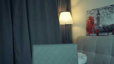 zarabeamer free recording from 