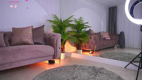 abbela_white free recording from 2025-05-16 11:27:00