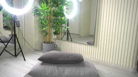 alexxiskye free recording from 2025-05-16 08:46:00