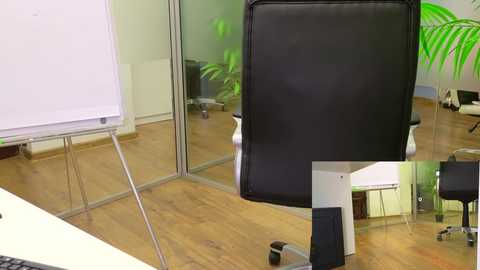 babesgowild free recording from 2025-05-16 07:38:00