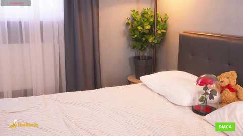 bellacle free recording from 