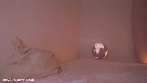 ocicat free recording from 2025-05-16 06:20:00