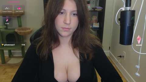 alexa_dream free recording from 2025-05-17 04:09:00