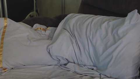 tia__moon free recording from 2025-05-17 17:49:00