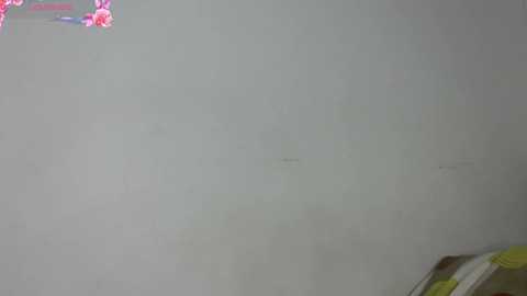 lovely_allys free recording from 2025-05-18 02:49:00