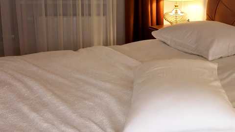 roxy_blue_eyed_ free recording from 2025-05-18 14:25:00