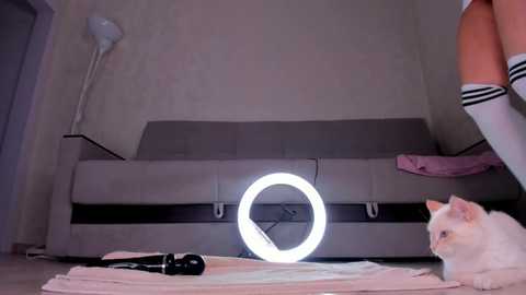 sassynova free recording from 2025-05-18 02:15:00