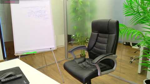 babesgowild free recording from 2025-05-19 07:18:00