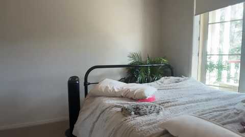 novamills free recording from 2025-05-19 02:27:00