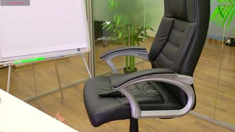 babesgowild free recording from 2025-05-20 07:38:00