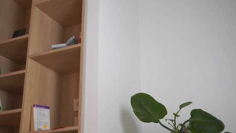 sonya_kelsey free recording from 