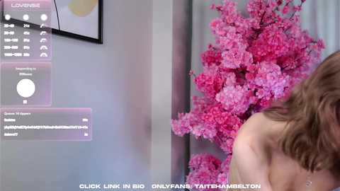 taitehambelton free recording from 