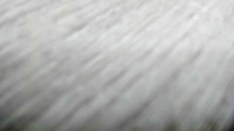 sayo_mao18 free recording from 2025-05-21 15:48:00