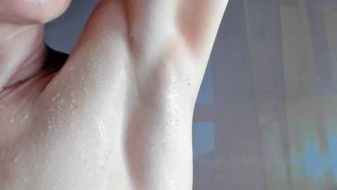 dorothy_meyer free recording from 2025-05-22 09:59:00