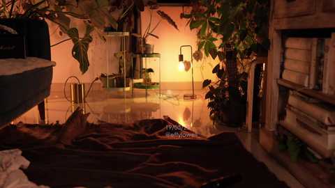 effylowell_ free recording from 2025-05-22 05:59:00