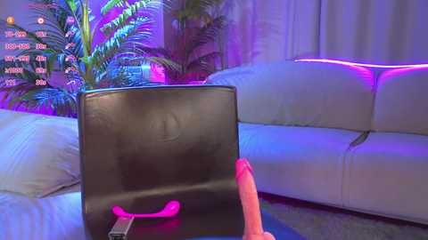 nikkisilk free recording from 2025-05-22 17:36:00