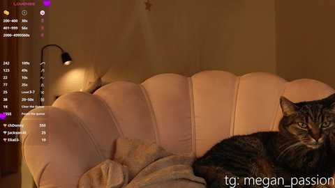 top_of_passion free recording from 2025-05-22 20:36:00