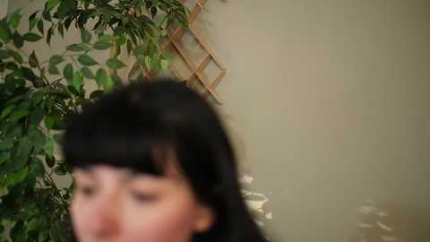 katdreams free recording from 