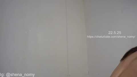 shena_nomy free recording from 2025-05-23 01:39:00