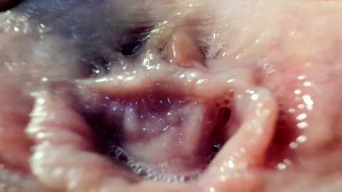 courtney_luv free recording from 2025-05-24 17:58:00