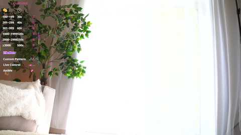 darlinechapel free recording from 2025-05-24 11:07:00